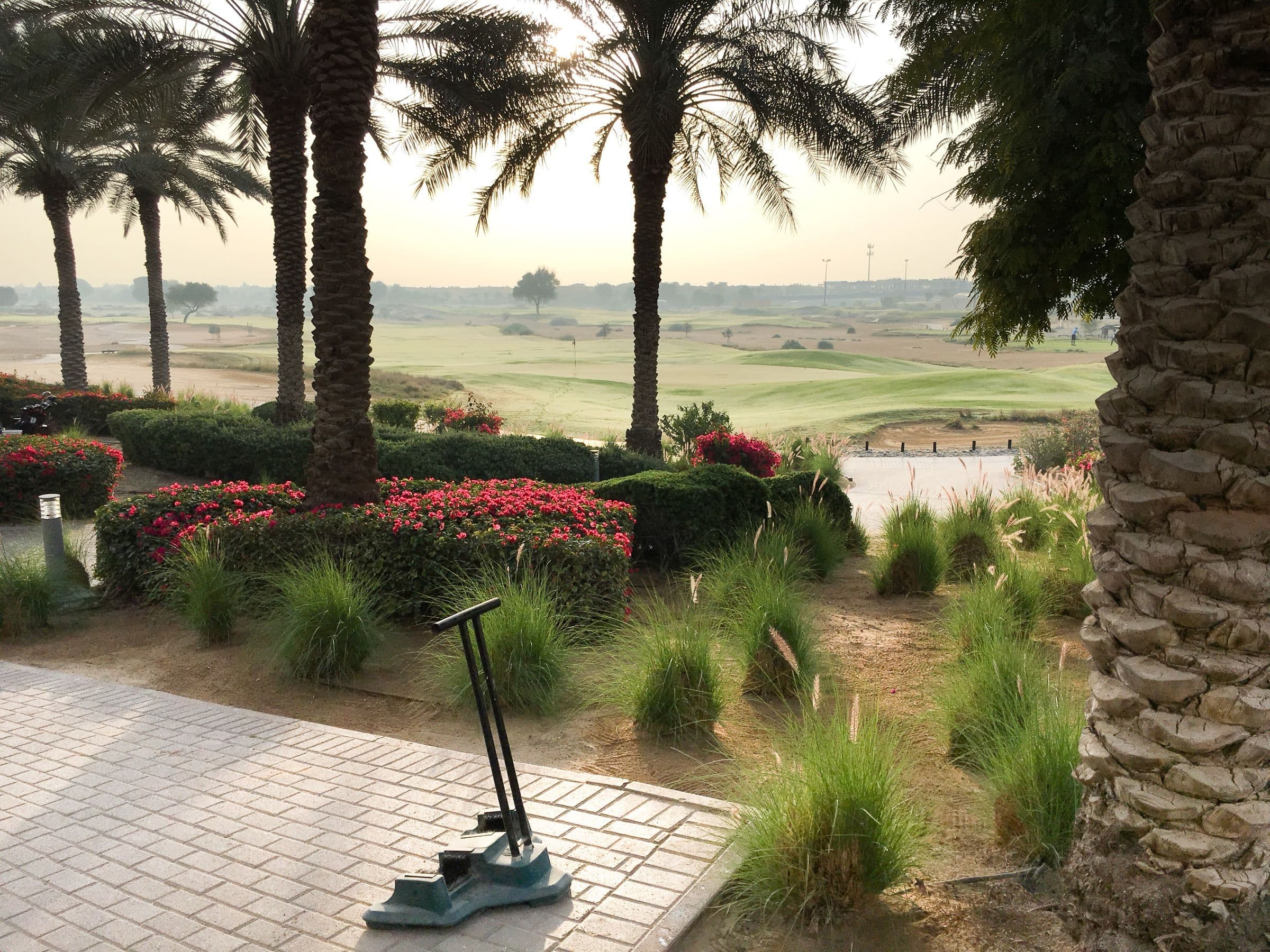 Palms and planting beside the golf course fairways at Arabian Ranches, Dubai