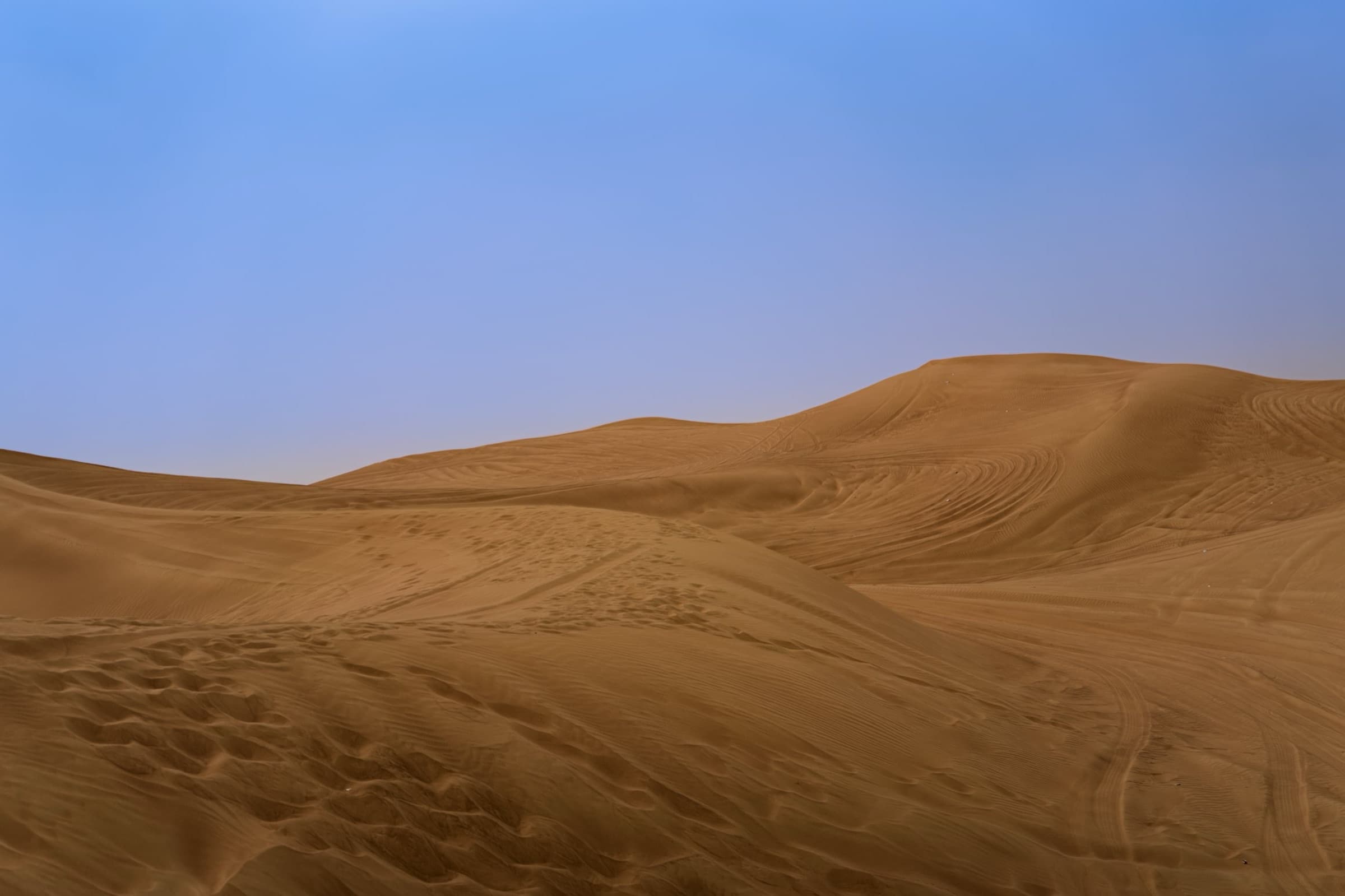 Soft-lit sand dunes in the Dubai desert under a clear sky